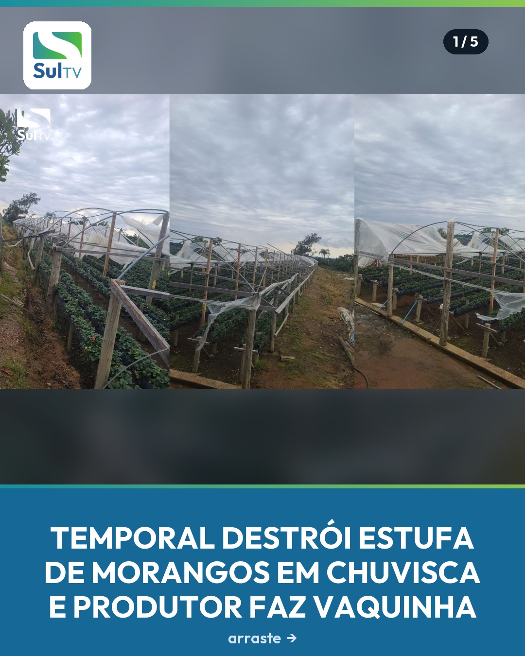 Família perdeu estrutura de cultivo após temporais do dia 21 de setembro e busca apoio da comunidade para reconstruir