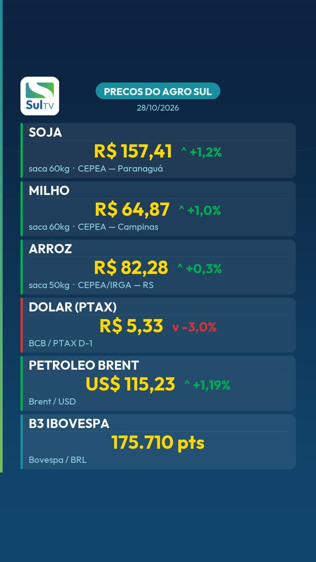 Soja fecha a R$ 157,41 e lidera alta no Sul — Preços do Agro Sul 28/10