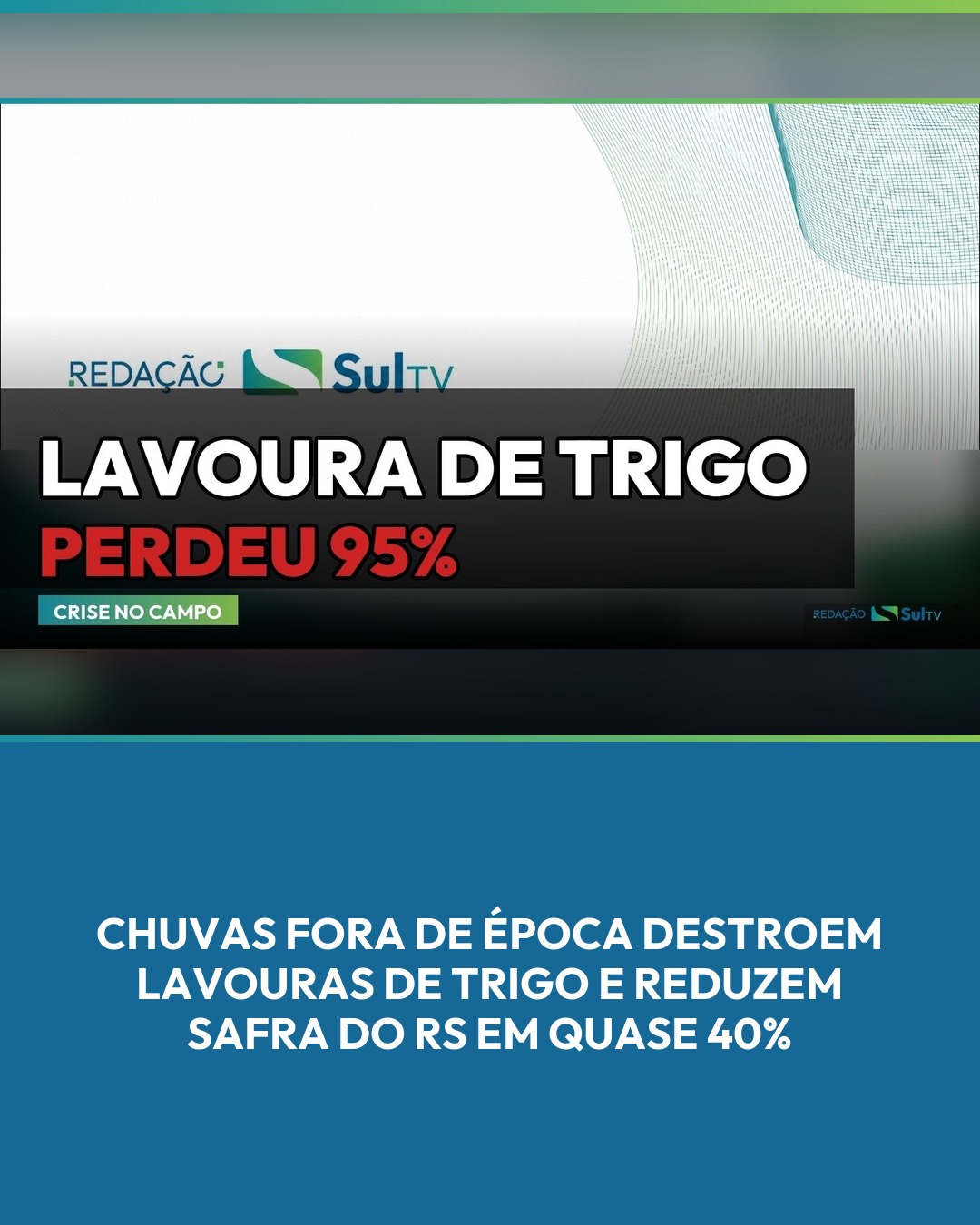 Doenças fúngicas atingiram lavouras tardias; produtor em Catuípe perdeu mais de 95% da área plantada