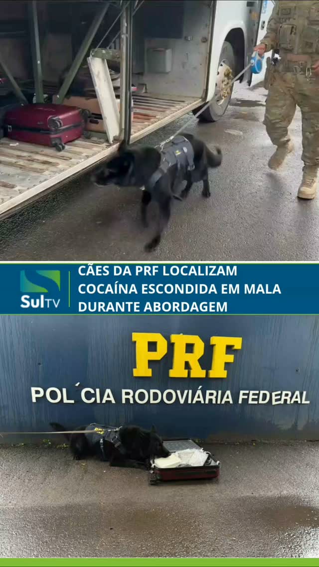 A PRF apreendeu cerca de 3,05 quilos de cocaína na manhã desta terça-feira (29), durante uma operação de combate ao cri…