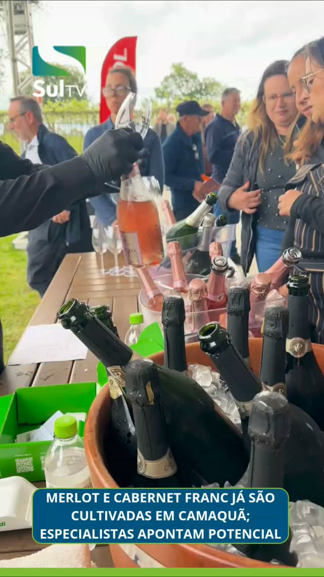 Aconteceu nesta quarta-feira (30), no Altos do Paraíso Vinhedos, o Seminário vitivinícola que reúniu produtores em Cama…