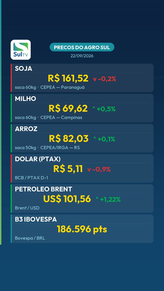Milho sobe 0,5% e fecha a R$ 69,62 — Preços do Agro Sul 22/09