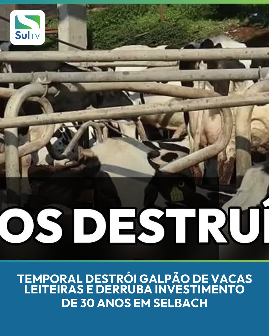 Propriedade da família Castelo ficou sem energia e com mais de 50 vacas em produção sem cobertura após a tempestade.