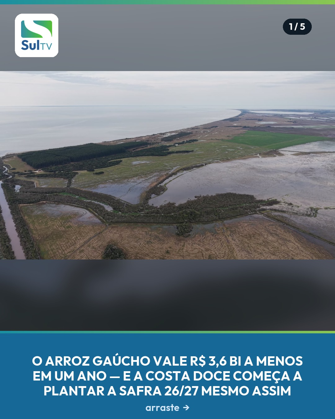 Prévia de agosto do Valor Bruto da Produção, do Ministério da Agricultura, põe o arroz brasileiro no menor valor real d…