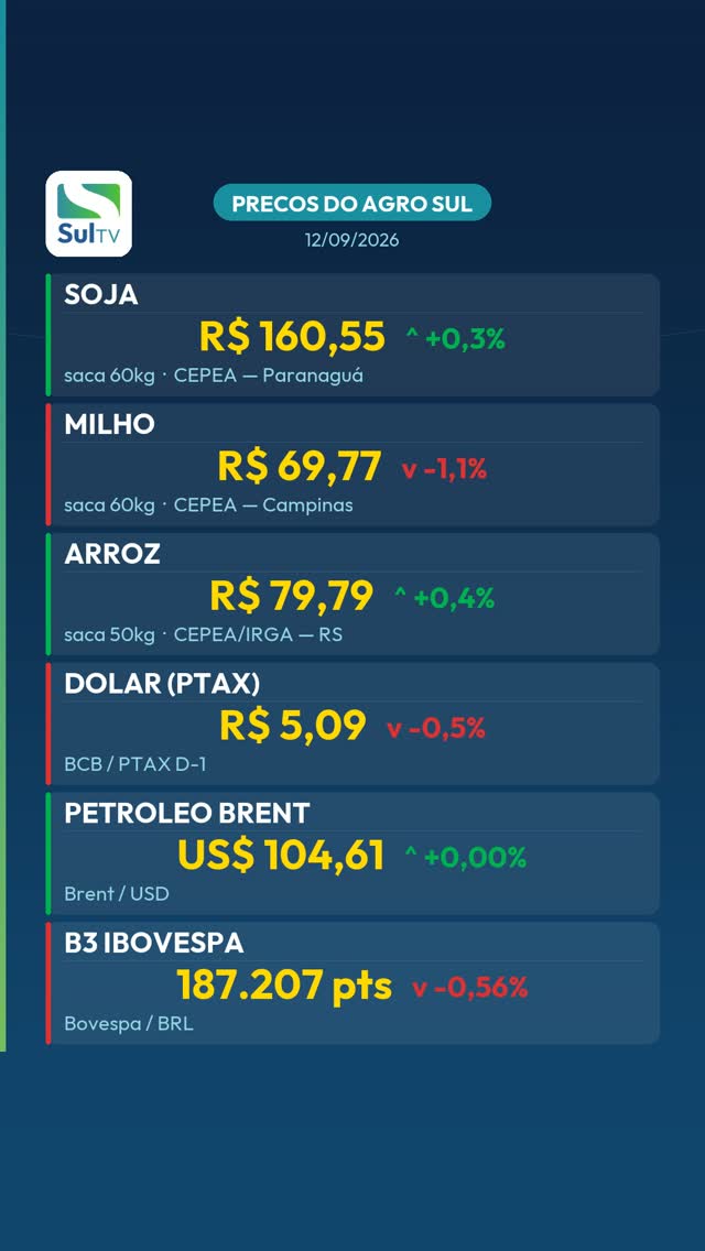 Milho cai 1,1% e fecha a R$ 69,77 — Preços do Agro Sul 12/09