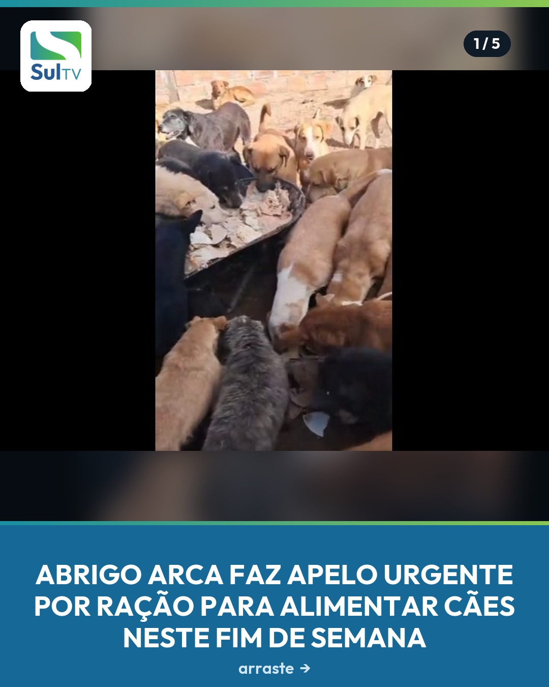 Entidade precisa de 24 sacos de 20 kg para garantir alimentação de centenas de animais até domingo