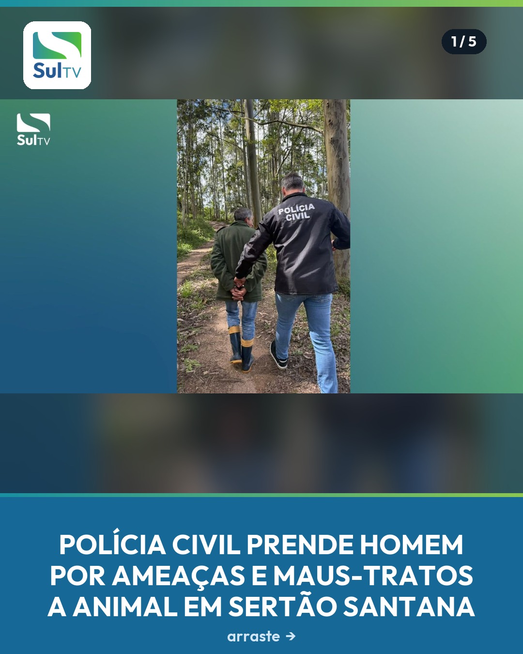 Investigado de 60 anos descumpria medidas protetivas e teria ferido cadela da ex-companheira com facão