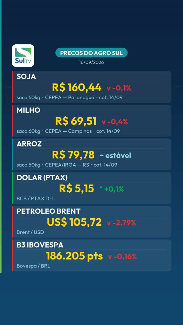 Milho cai 0,4% e fecha a R$ 69,51 — Preços do Agro Sul 16/09