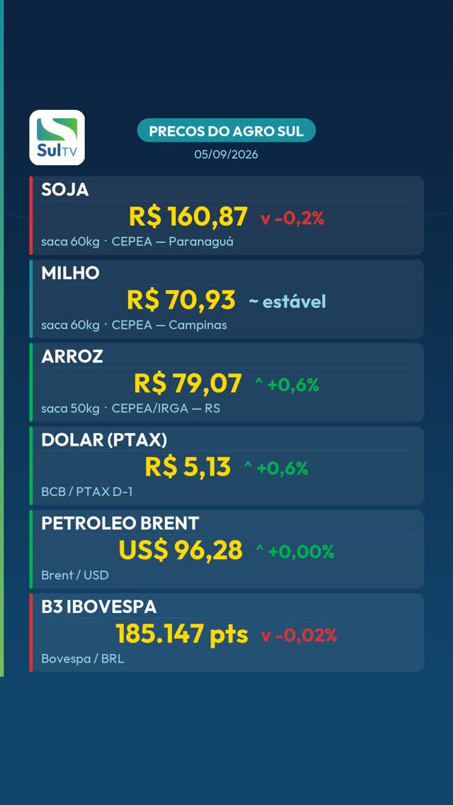 Arroz sobe 0,6% e fecha a R$ 79,07 a saca — Preços do Agro Sul 05/09
